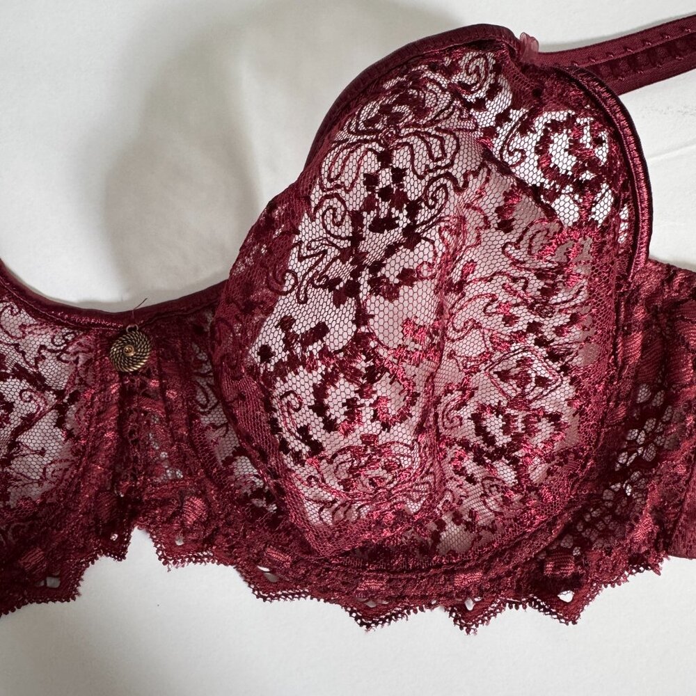 Empreinte Cassiopee Garnet Red Lace Full Cup Underwired Bra - 34C - Picture 4 of 9